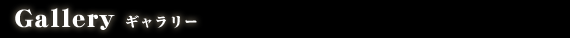 Gallery ギャラリー